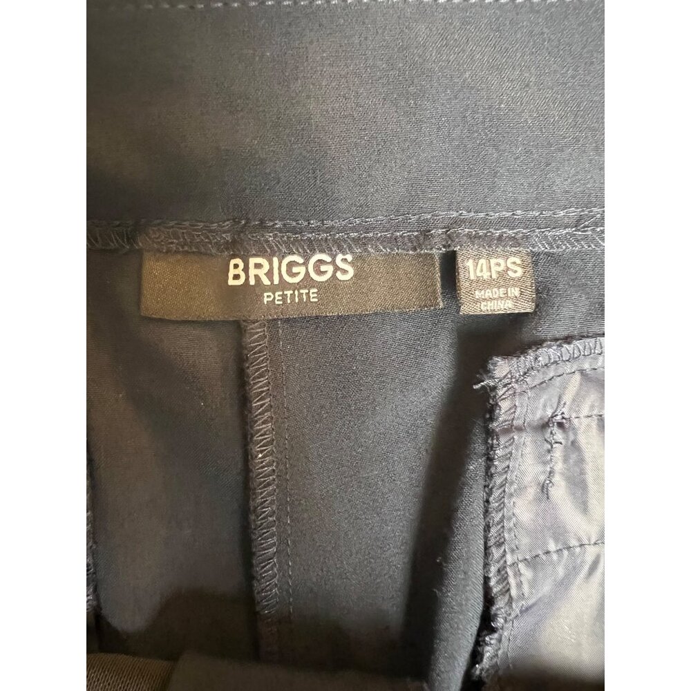 Briggs Navy Pants - Picture 9 of 12